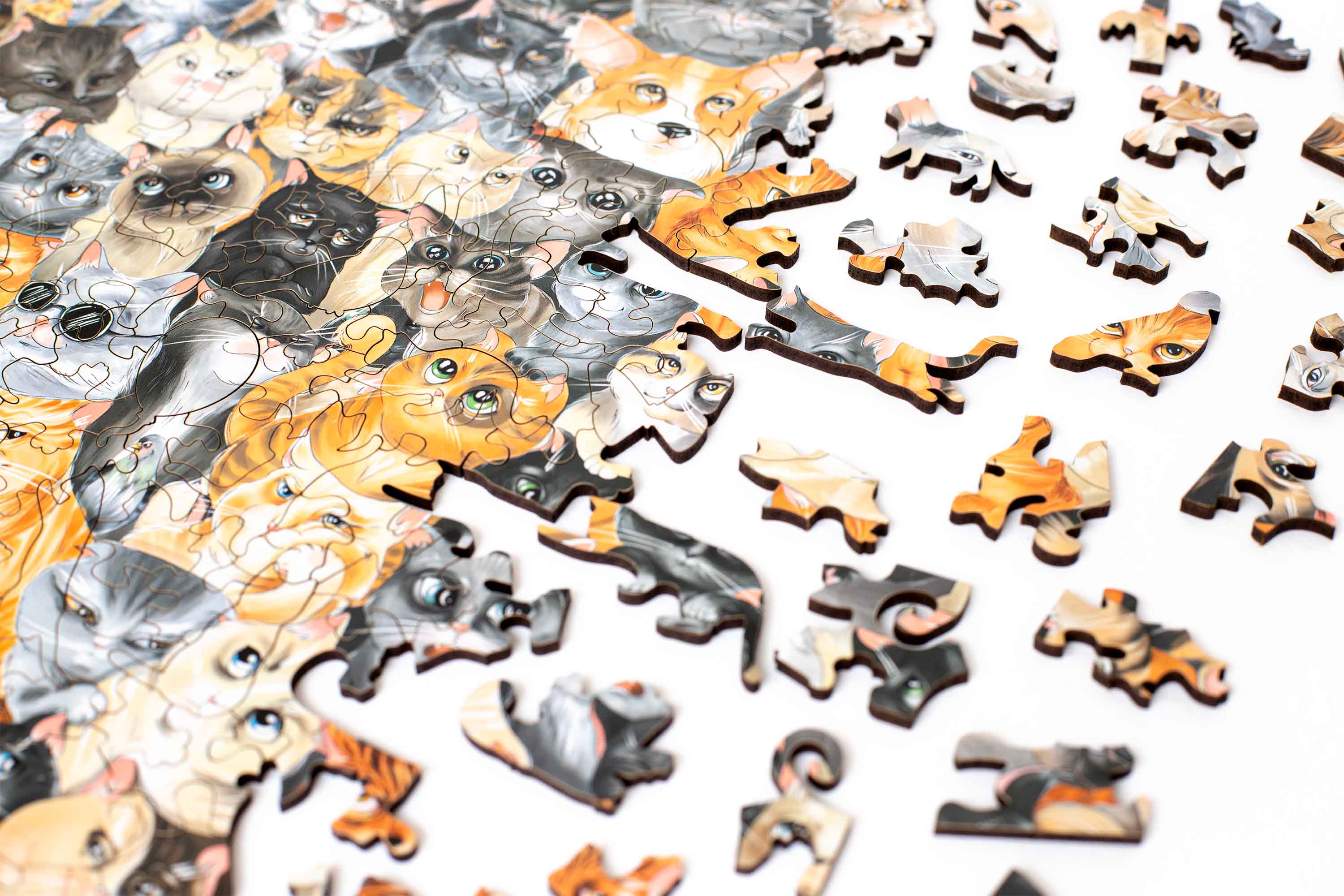 THE CAT'S PARTY