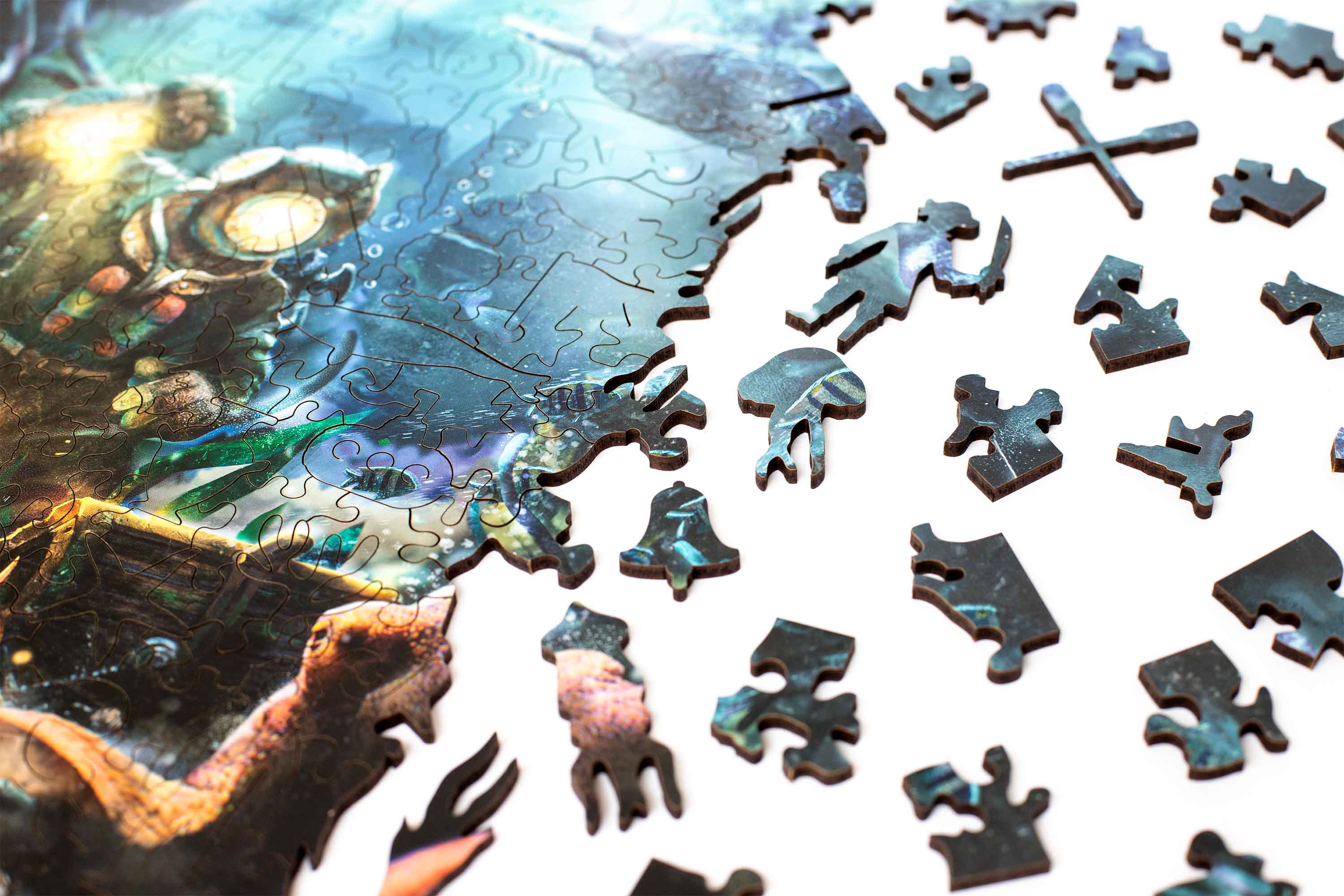 TREASURE HUNTER